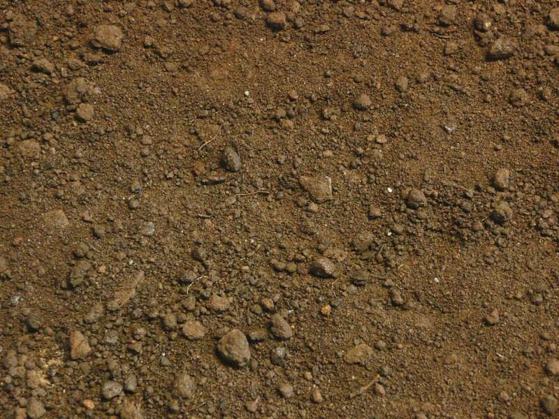 Oberboden gesiebt « Steinakzente