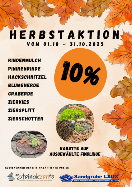 img 20250926 213856 503